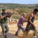 La violence sioniste