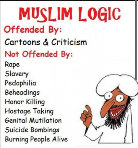 islam,valeurs,violence,viols,muslim