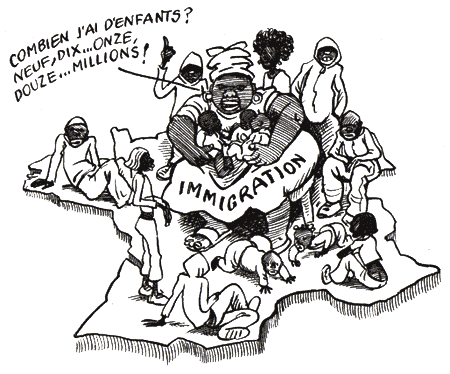 chard,dessin,invasion,démographie,immigration,identité,races