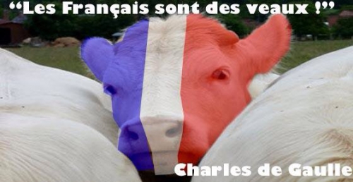 francais-veaux-degaulle-général-élections-médias-propagande-moutons-lrps-système