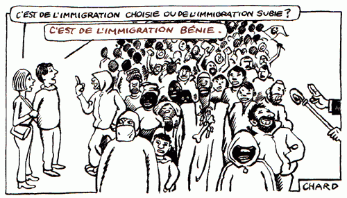 immigration,france,dessin,chard,subie