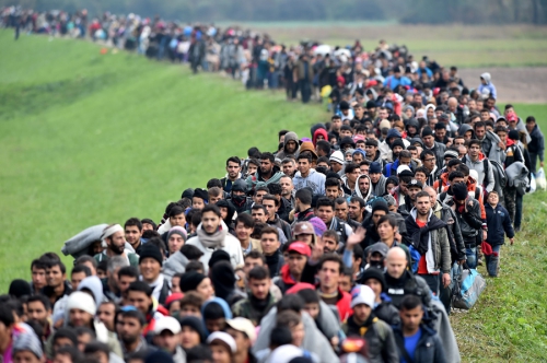 migrants,clandestins,invasion migratoire,suicide de l'europe,folie,élites,traitres,nations en danger