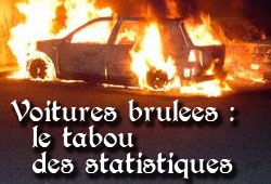 voitures brûlées,statistiques,france,guerre civile