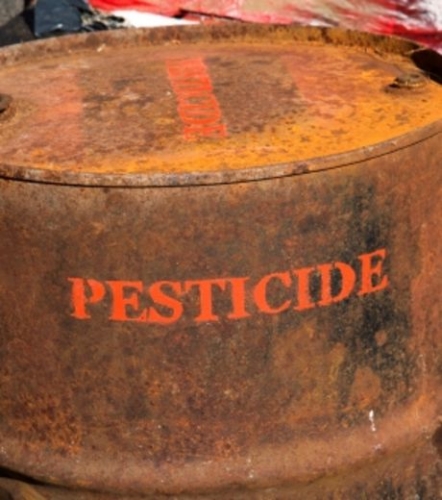 pesticide.jpg